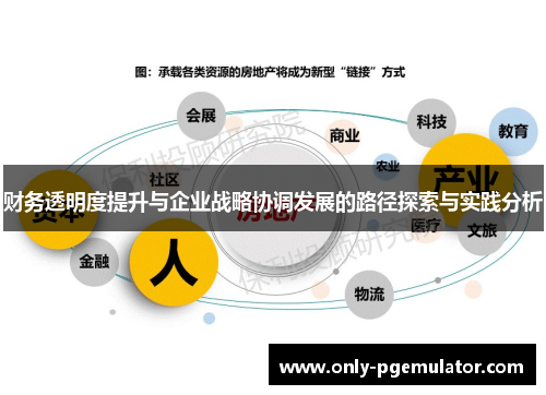 财务透明度提升与企业战略协调发展的路径探索与实践分析