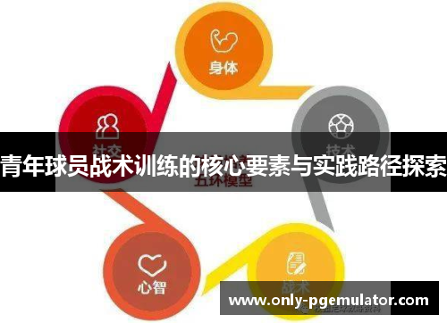 青年球员战术训练的核心要素与实践路径探索