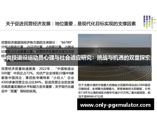 竞技退役运动员心理与社会适应研究：挑战与机遇的双重探索