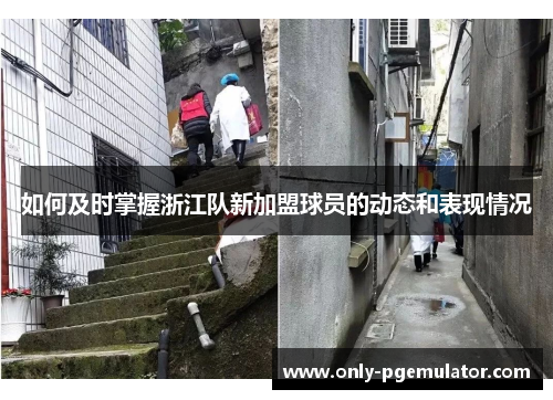 如何及时掌握浙江队新加盟球员的动态和表现情况