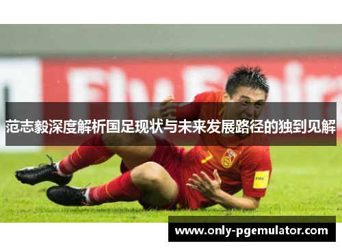 范志毅深度解析国足现状与未来发展路径的独到见解