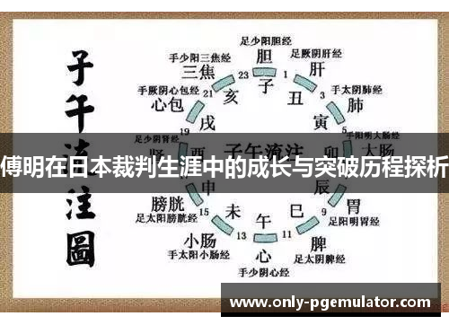 傅明在日本裁判生涯中的成长与突破历程探析