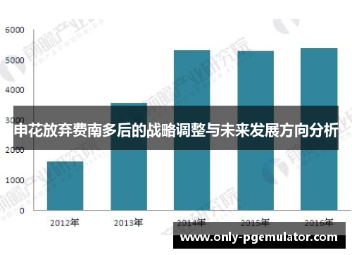 申花放弃费南多后的战略调整与未来发展方向分析