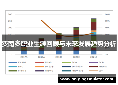 费南多职业生涯回顾与未来发展趋势分析