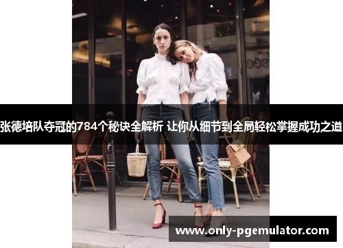 张德培队夺冠的784个秘诀全解析 让你从细节到全局轻松掌握成功之道