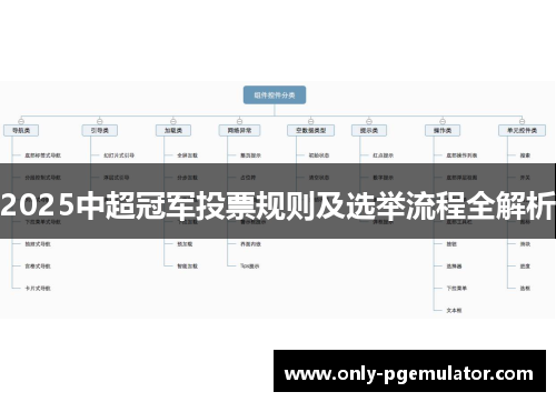 2025中超冠军投票规则及选举流程全解析