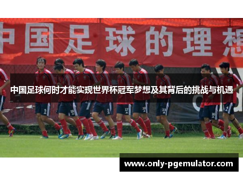 中国足球何时才能实现世界杯冠军梦想及其背后的挑战与机遇