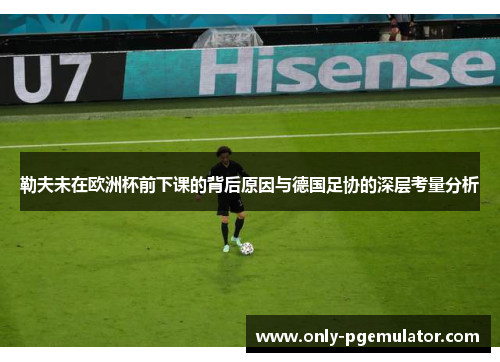 勒夫未在欧洲杯前下课的背后原因与德国足协的深层考量分析