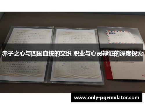 赤子之心与四国血统的交织 职业与心灵辩证的深度探索