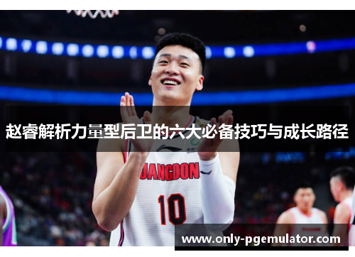 赵睿解析力量型后卫的六大必备技巧与成长路径