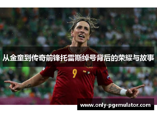 从金童到传奇前锋托雷斯绰号背后的荣耀与故事 从金童到传奇前锋托雷斯绰号背后的荣耀与故事