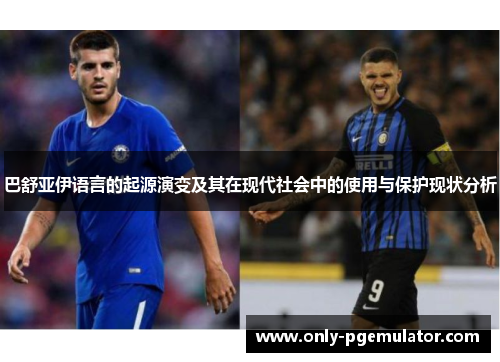 巴舒亚伊语言的起源演变及其在现代社会中的使用与保护现状分析