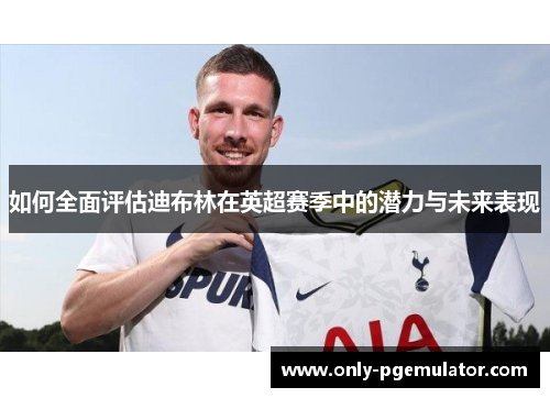 如何全面评估迪布林在英超赛季中的潜力与未来表现