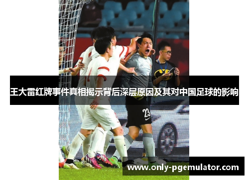 王大雷红牌事件真相揭示背后深层原因及其对中国足球的影响 王大雷红牌事件真相揭示背后深层原因及其对中国足球的影响
